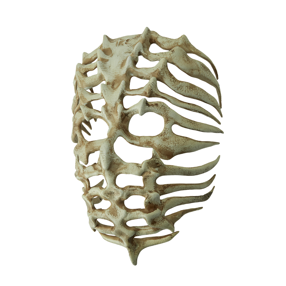 TC BONE FACE MASK